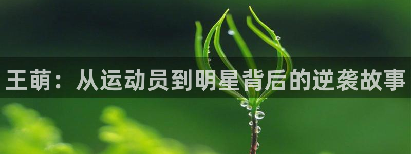 看球通体育下载：王萌：从运动员到明星背后的逆袭故事