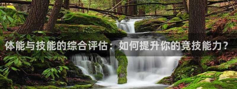 看球通体育在线观看：体能与技能的综合评估：如何提升你的竞技能力？