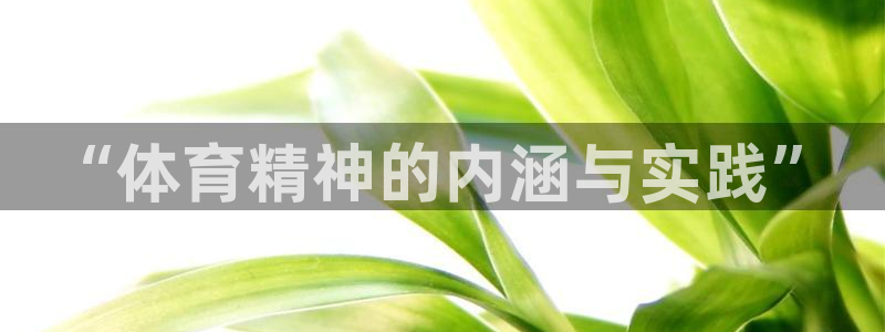 看球通体育App下载：“体育精神的内涵与实践”