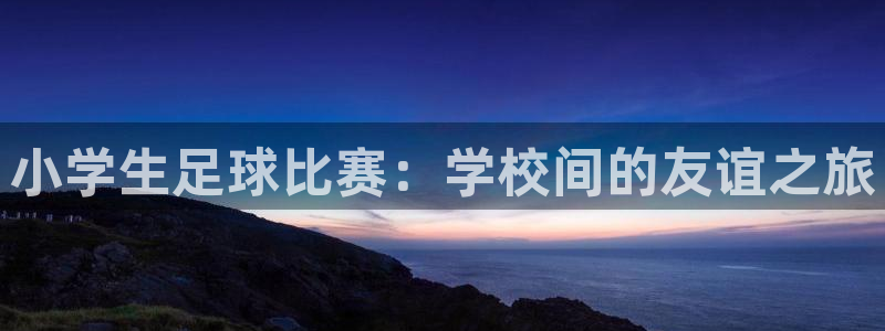 看球通体育直播在线观看：小学生足球比赛：学校间的友谊之旅
