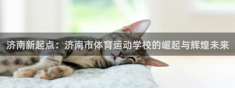 看球通体育在线观看：济南新起点：济南市体育运动学校的崛起与辉煌未来