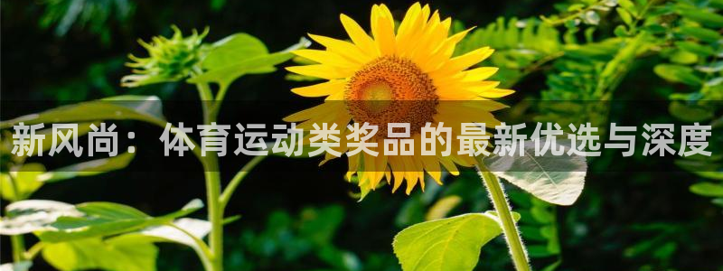 看球通体育免费观看入口：新风尚：体育运动类奖品的最新优选与深度