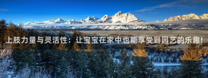 看球通体育直播在线观看：上肢力量与灵活性：让宝宝在家中也能享受到园艺的乐趣!
