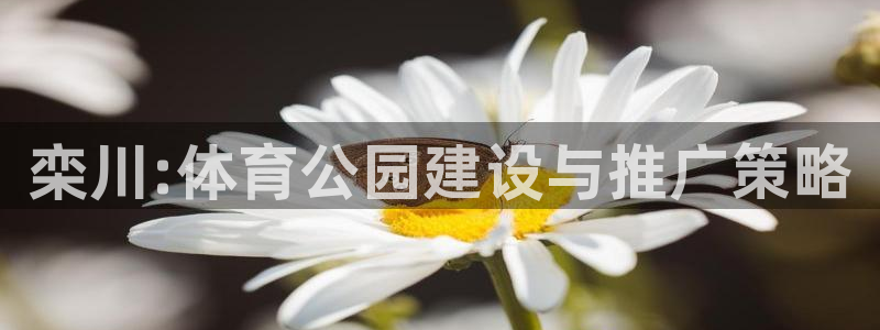 看球通体育app苹果版下载：栾川:体育公园建设与推广策略